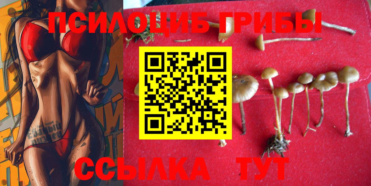 Галлюциногенные грибы ЛСД  Вход с VPN  Партизанск 
